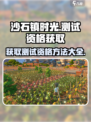 沙石镇时光手游测试资格获取方法介绍