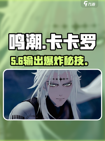 鸣潮卡卡罗声骸神配🔥截图1