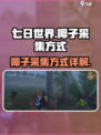 七日世界椰子在哪介绍