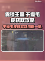 雾锁王国🔥干燥毛皮获取全攻略💡