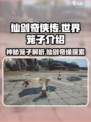 仙剑世界笼子是什么介绍