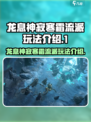 龙息神寂寒霜流派怎么玩介绍