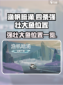 渔帆暗涌手游🔥四条强壮大鱼位置大曝光！