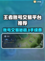 游戏代练平台大揭秘！游戏代练账号交易软件推荐✨