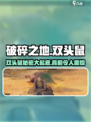 破碎之地🔥双头鼠竟是隐藏boss？真相让人震惊！