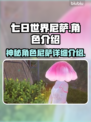 七日世界尼萨🔥超详细角色介绍来啦！🎮