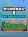 泰拉瑞亚账号交易📖靠谱平台推荐🔥