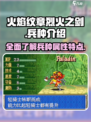 火焰纹章烈火之剑兵种有哪些介绍