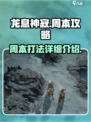 龙息神寂周本攻略介绍