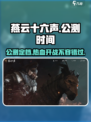 燕云十六声🔥公测定档！超燃时间曝光🎉