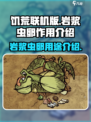 饥荒联机版岩浆虫卵有什么用介绍