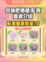 合体吧猪pig💡配置要求低到惊人！🔥