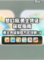 遇见梦幻岛勇士凭证怎么获得介绍