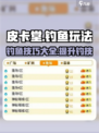 皮卡堂怎么钓鱼介绍