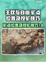 王权与自由💎矿点大全！必挖宝藏位置🔥