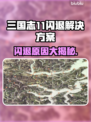 三国志11闪退原因及解决方案🔥游戏技巧大公开🎉