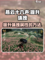 燕云十六声怎么增加体魄介绍