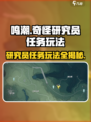 鸣潮⚡奇怪研究员任务玩法大揭秘！新手必看🔥