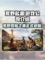 荒野起源是哪家公司的介绍
