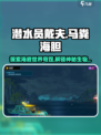 潜水员戴夫马粪海胆是什么介绍