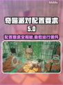 奇喵派对配置要求💡低配电脑能运行吗？🎮