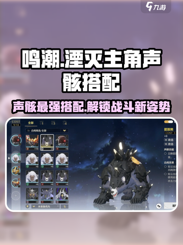 鸣潮⚡主角声骸最强搭配🔥 annihilate everything!截图1
