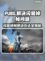 PUBG闪退掉帧？❌一招教你稳定流畅玩吃鸡🎮