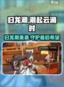 归龙潮讲的什么介绍
