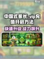 中国式网游VIP充值🔥超简单开启方法_GameOver