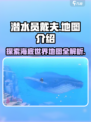 潜水员戴夫地图有几张介绍