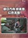 明日方舟终末地红色龙娘是谁介绍