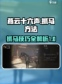 燕云十六声马怎么抓介绍