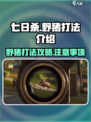 七日世界野猪怎么打介绍