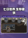 七日世界床怎么造介绍