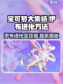 宝可梦大集结：伊布进化秘籍🌟轻松搞定！