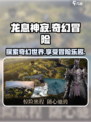 龙息神寂游戏类型介绍介绍