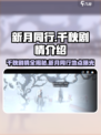 新月同行千秋剧情介绍介绍