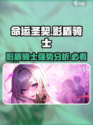 命运圣契🔥影盾骑士超强解析Knight✨截图1