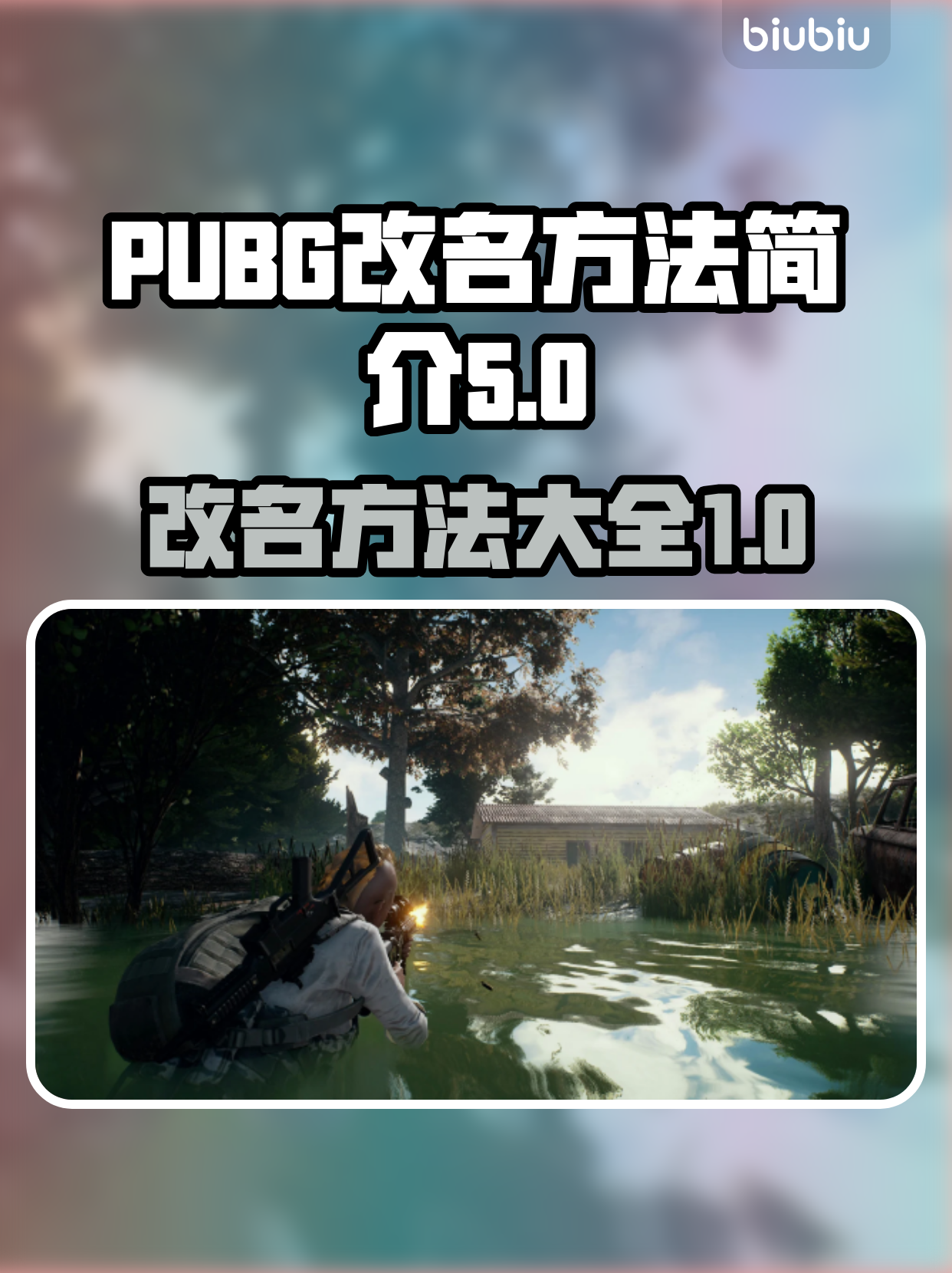 免费改名：耐心等待与策略选择