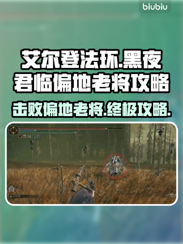 艾尔登法环黑夜君临偏地老将打法🔥一招制胜！截图1