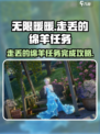 无限暖暖走丢的绵羊任务如何完成介绍