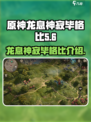 龙息神寂毕格比是谁介绍