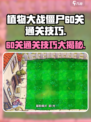植物大战僵尸杂交版60关🔥通关秘籍🎯