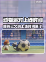 动物派对上线时间定了！🎉游戏党冲鸭～