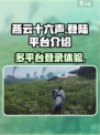 燕云十六声登陆平台介绍介绍