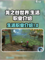 龙之谷世界生活职业有哪些介绍