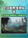 七日世界怎么玩介绍