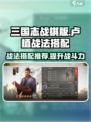 三国志战棋版卢植战法搭配怎么玩介绍