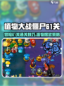 植物大战僵尸杂交版冒险61关怎么过介绍