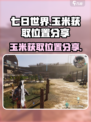 七日世界玉米在哪里介绍